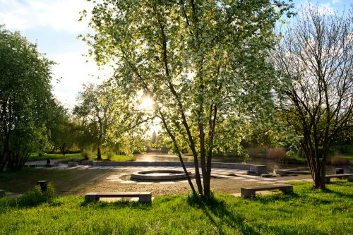 Park mit Bäumen, Weg und Wasser, Sonnenlicht durch die Blätter. (KI generiert)