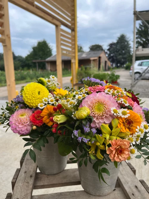 Bunter Blumenstrauß in Terrakotta-Topf vor Haus mit Garten im Hintergrund. (KI generiert)